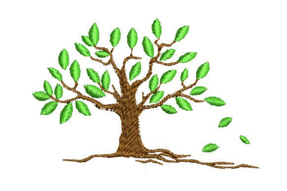 Fallen Leaves on Tree Roots Review